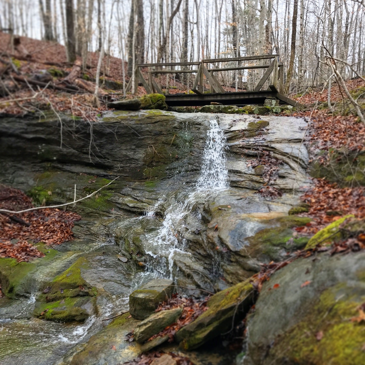 Carter Caves State Park Trip Report